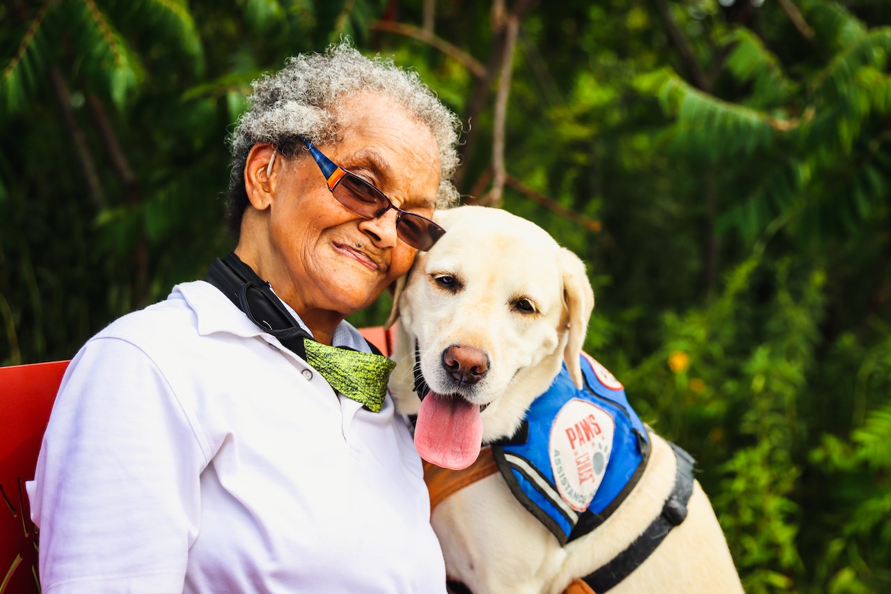 Chewing is a natural behaviour for dogs and puppies. However, it's important to train your pet not to chew on furniture and other household items.