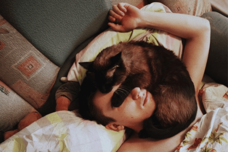 How to Stop Your Cat From Sleeping on Your Face