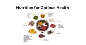 Nutrition for Optimal Health 