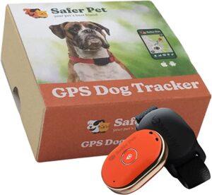 DOG GPS